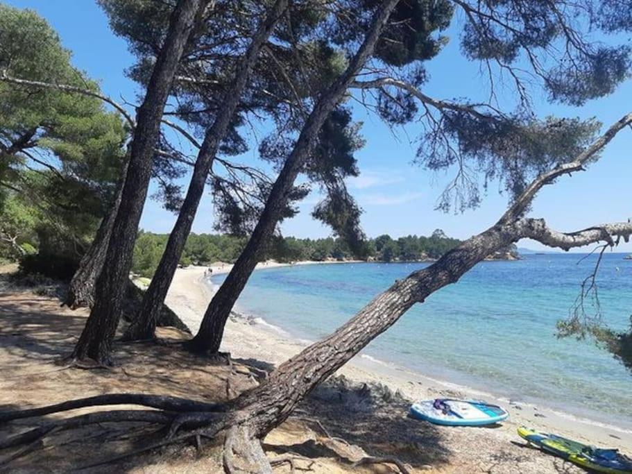 Studio Cabine Climatise 800 M De La Plage Et Des Commerces Bormes-les-Mimosas Dış mekan fotoğraf